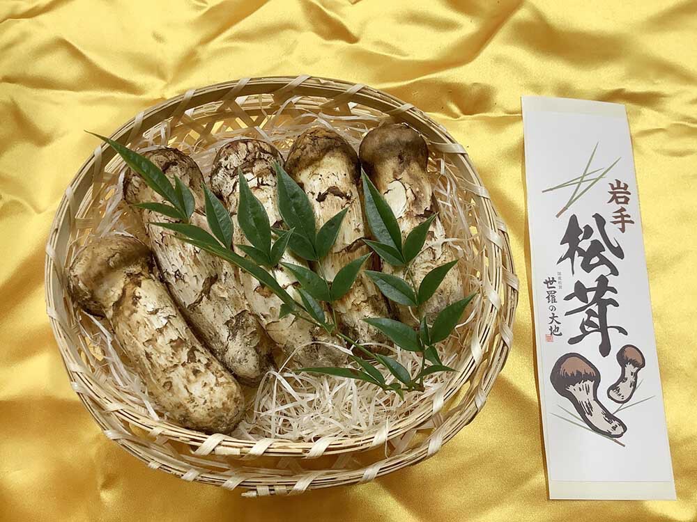 松茸の梅の写真