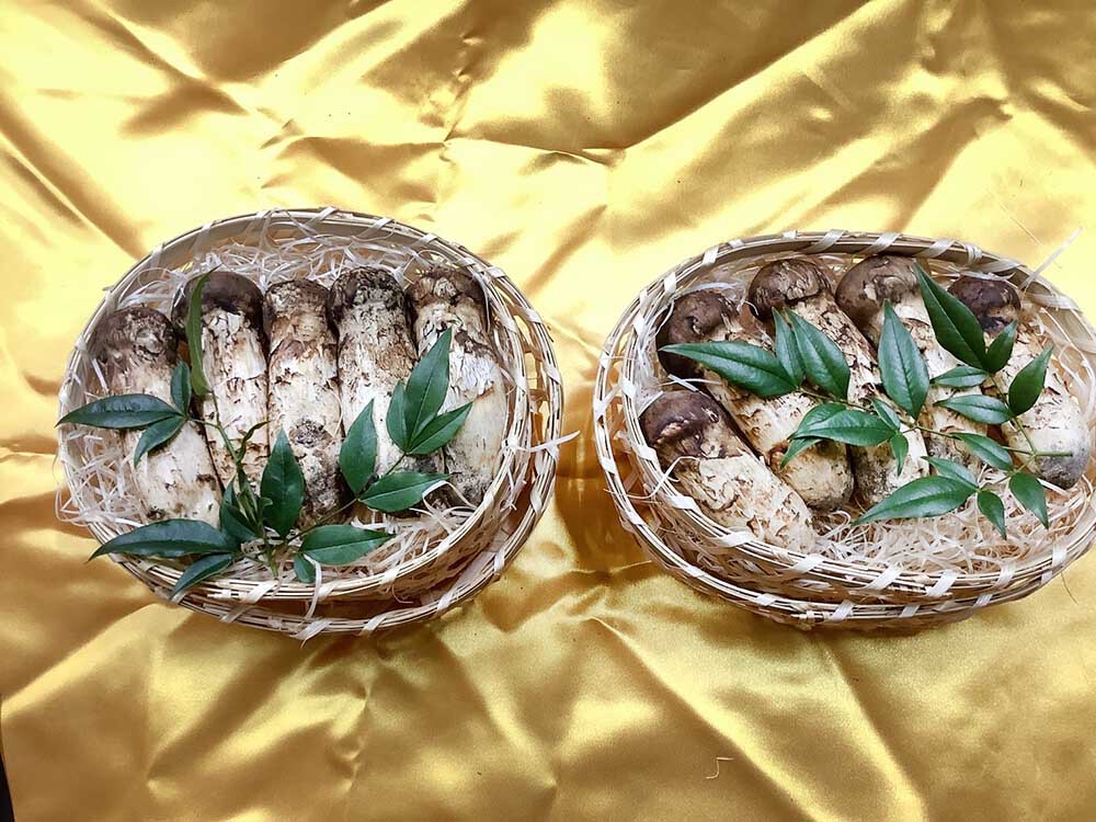 松茸の梅の写真