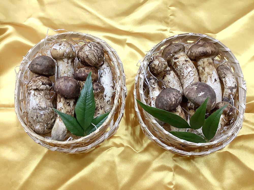 法人さまご依頼松茸の慶200gの写真