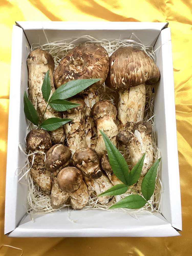松茸の慶の写真