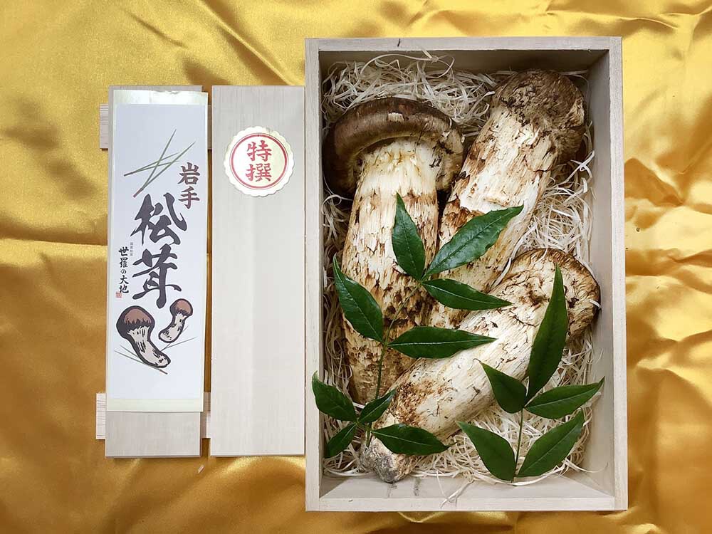 松茸の銀の写真