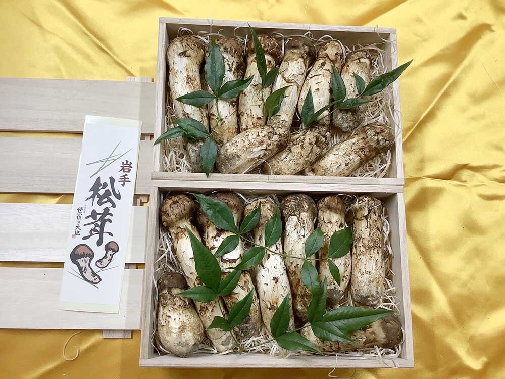 法人さまご依頼松茸の3万円分箱の写真