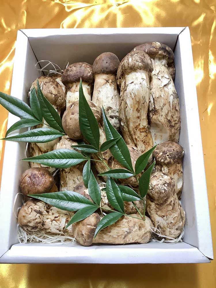 飲食店さまご依頼の松茸徳の写真
