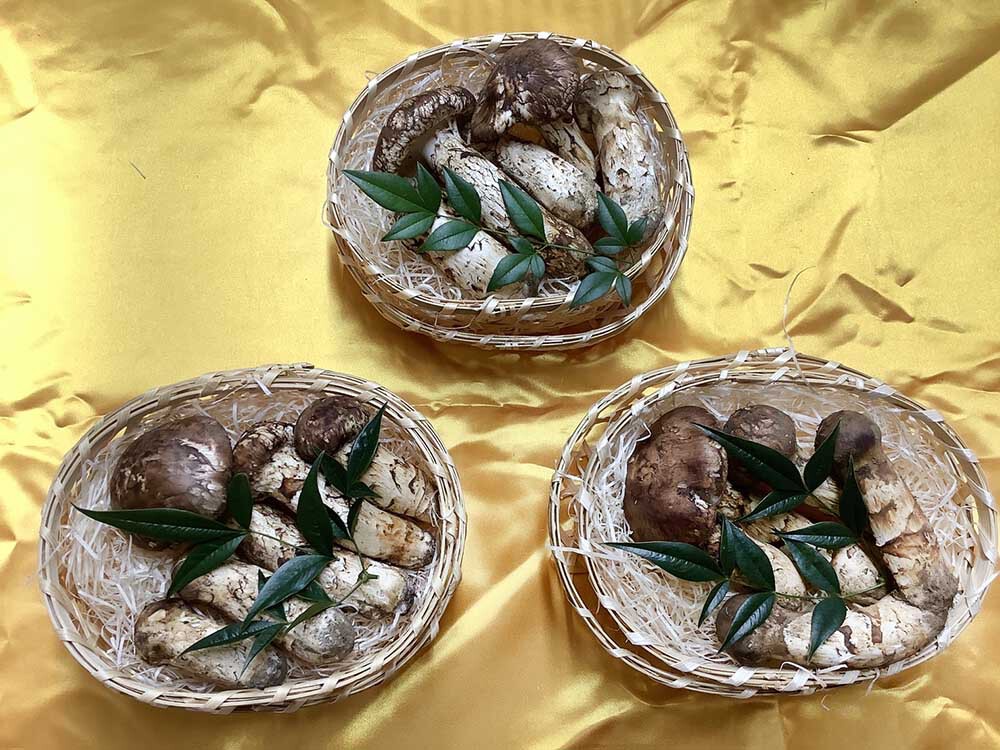 松茸の梅の写真