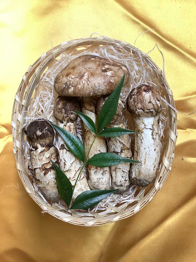 松茸の梅の写真