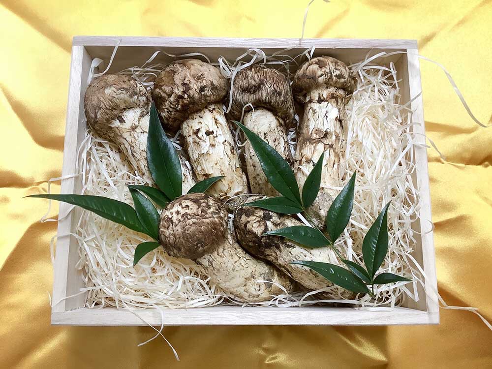 お見舞いのご依頼松茸200gの写真