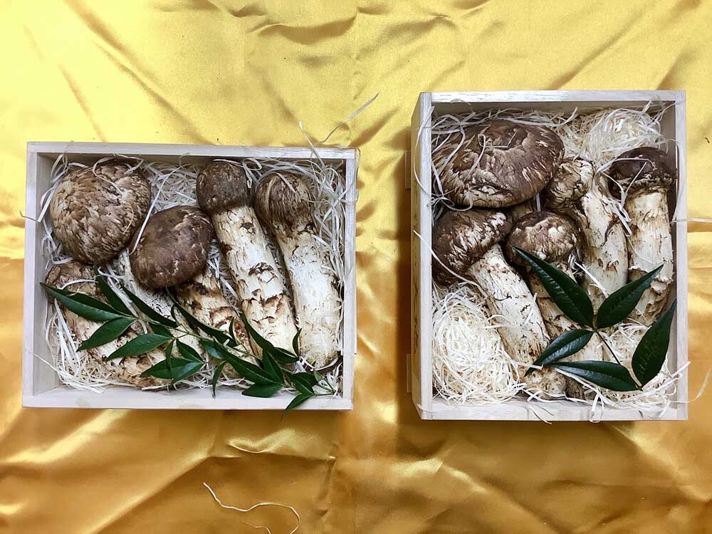 法人さまのご依頼松茸の竹の写真
