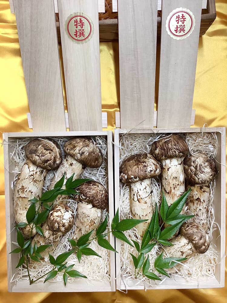 法人さまのご依頼松茸の銀の写真