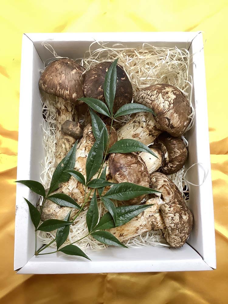 松茸の慶の写真