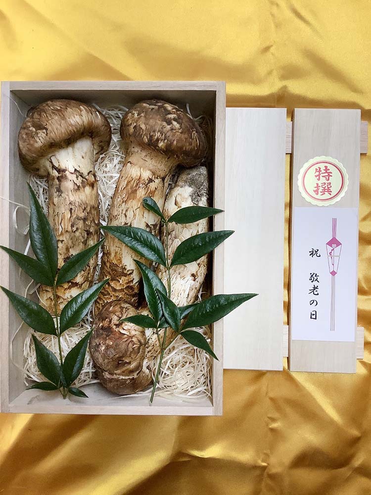 松茸の銀敬老の日のお祝いの写真