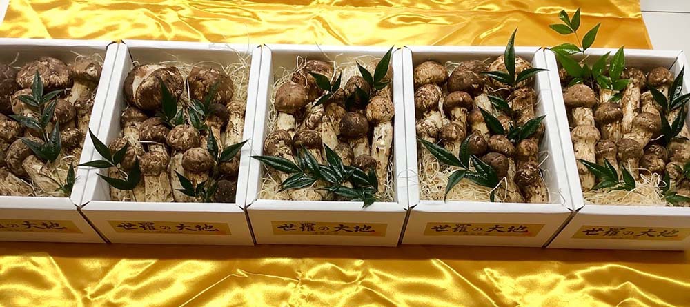 法人さまご依頼松茸600g詰/箱の写真