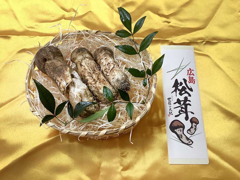 広島県産松茸5,000円分の写真