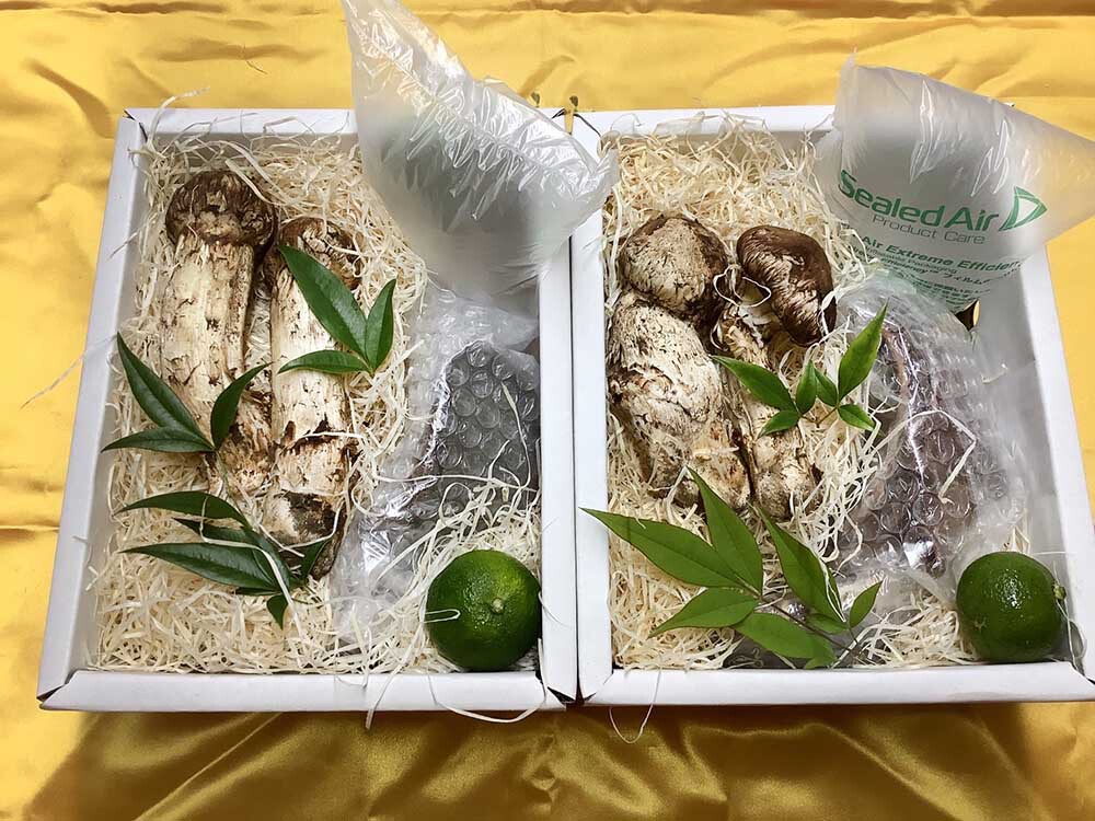 法人さまご依頼 限定商品松茸土瓶蒸しセットの写真