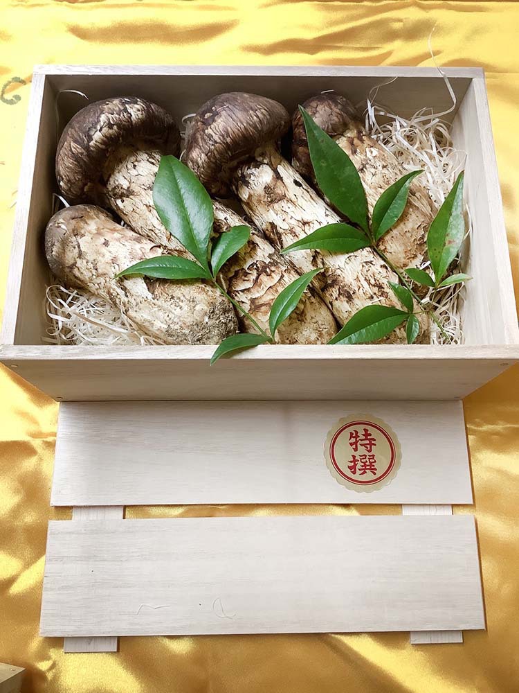 松茸の銀の写真
