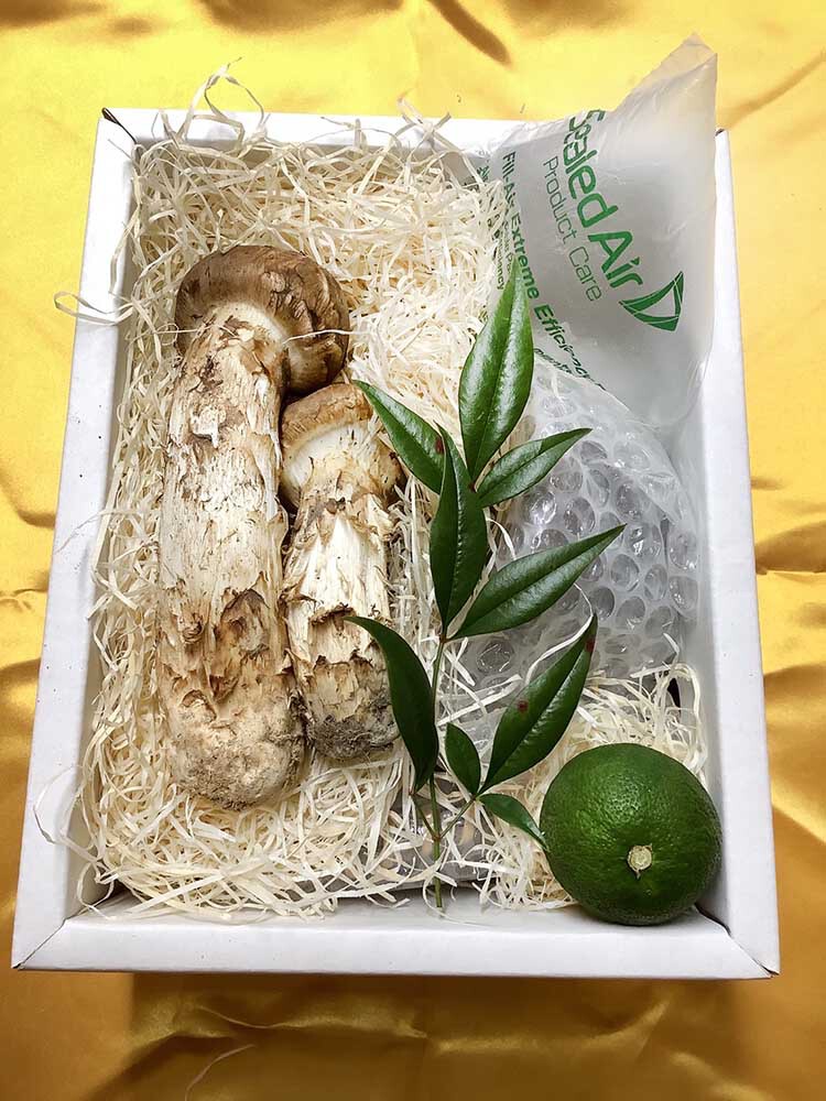 限定商品土瓶蒸しセットの写真