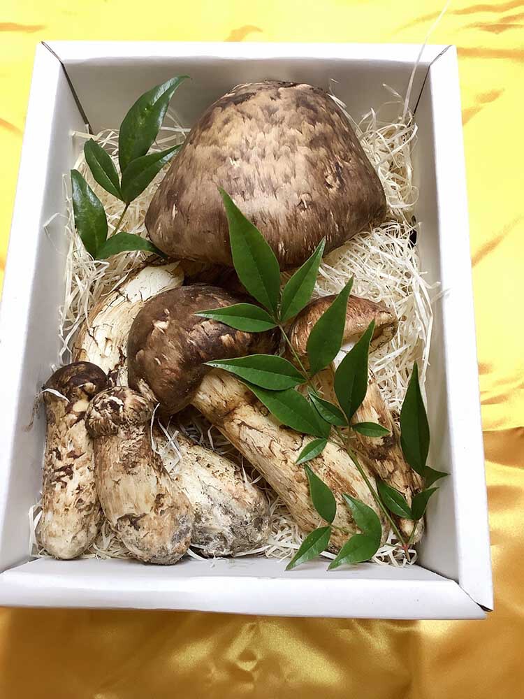 松茸の慶の写真