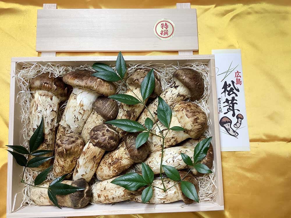 法人さまご依頼 広島県産特選900gもみの木