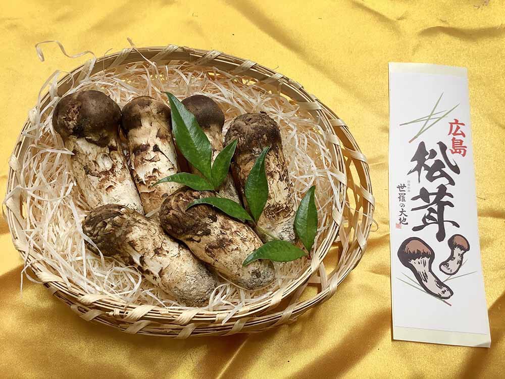松茸の梅の写真