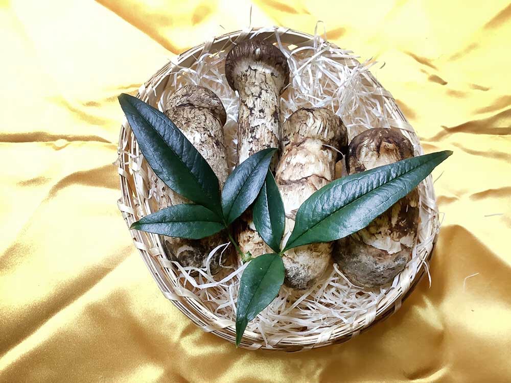 松茸の梅の写真