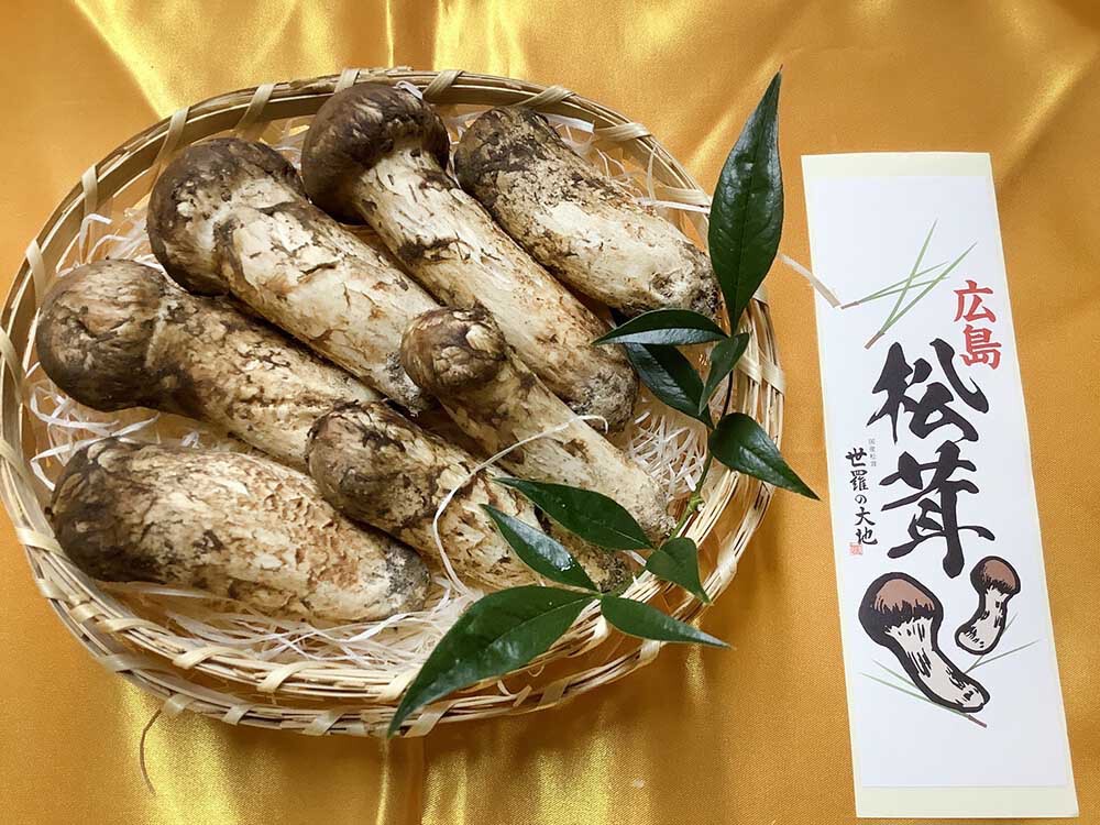 松茸の法人様梅の写真
