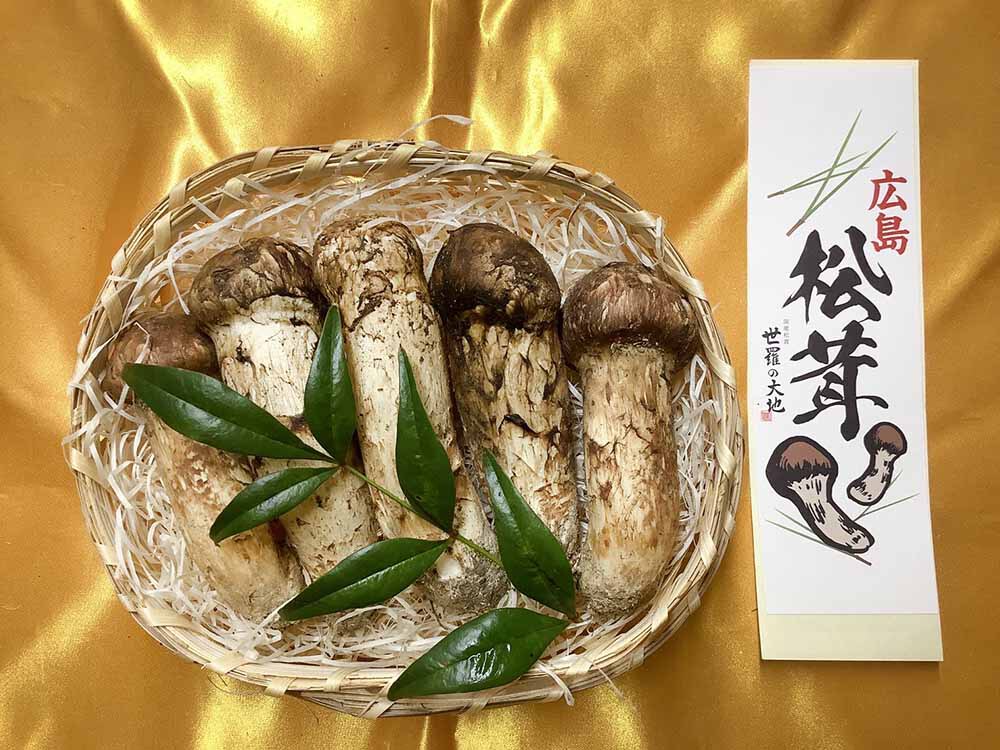 法人さまの松茸の梅の写真