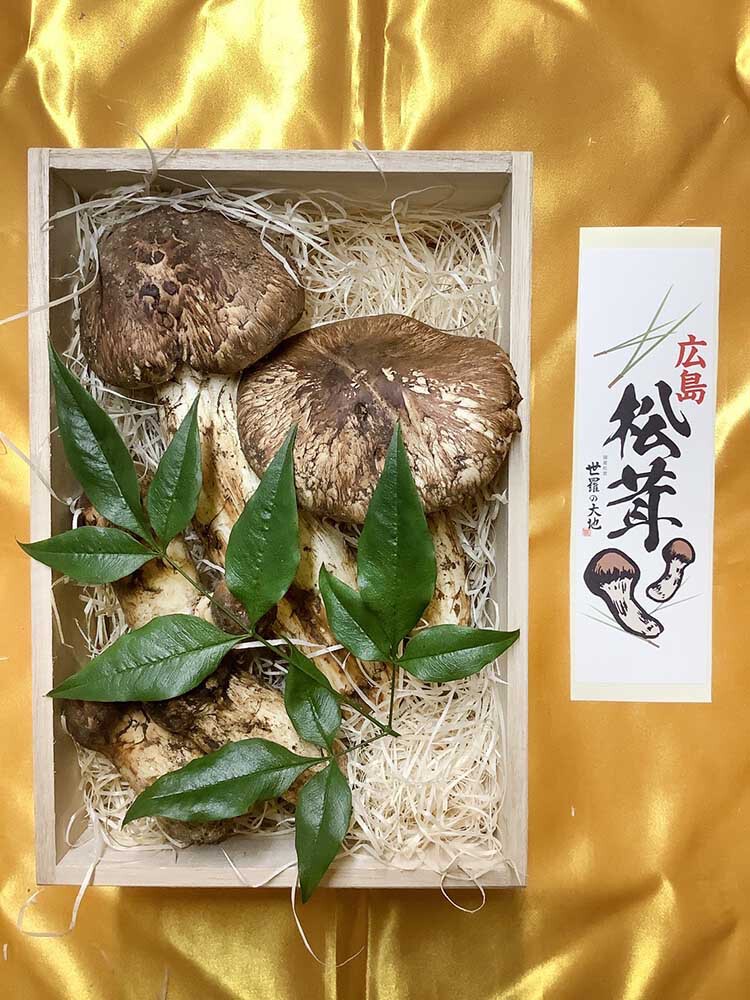 法人さま広島県産松茸3万円分のご依頼