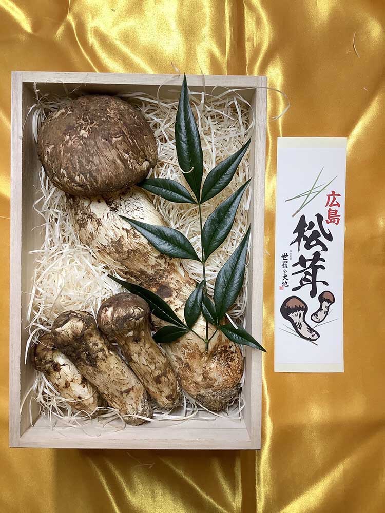 法人さま広島県産松茸の3万円分のご依頼