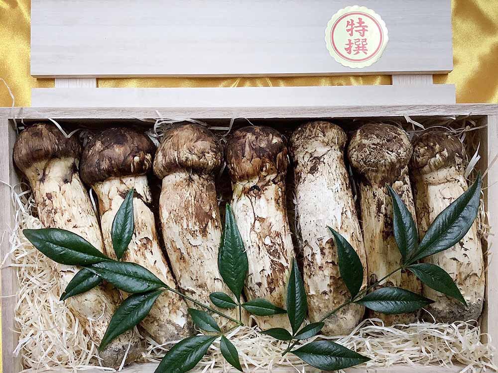 法人さ様依頼松茸の金の写真