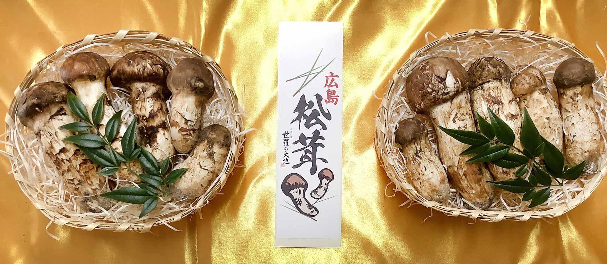 松茸の梅の写真