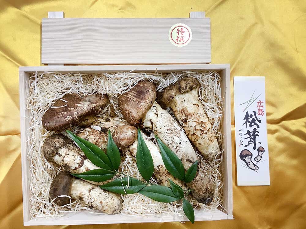 特選松茸の華の写真