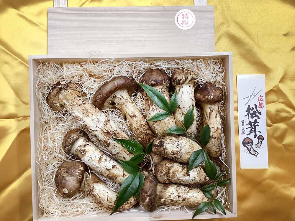特選松茸の雅の写真