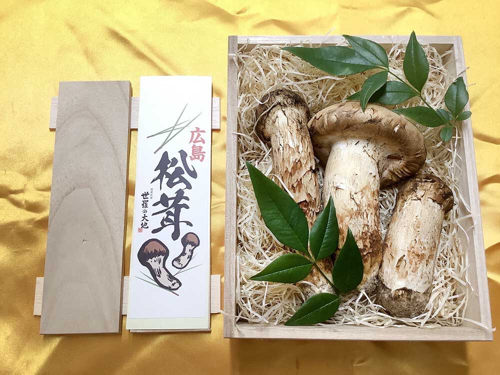 松茸の35,000円分お祝いの写真