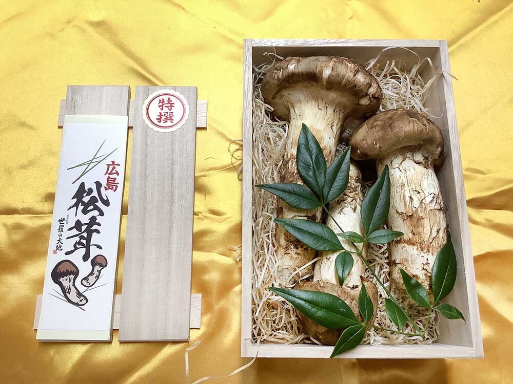 松茸の銀の写真