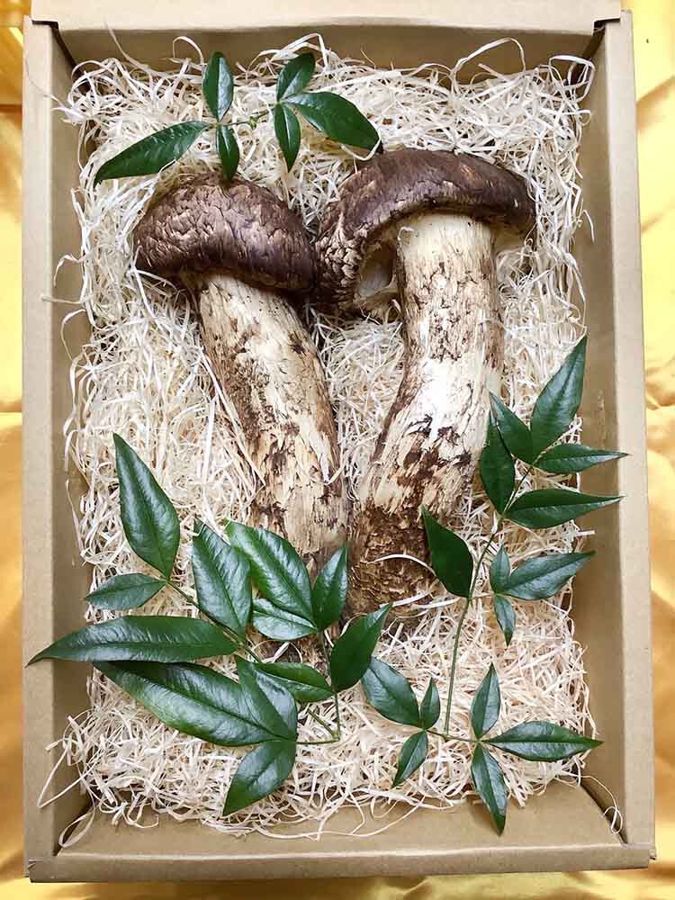 掴み取り副賞 重さ当てチャレンジピッタリ賞の写真