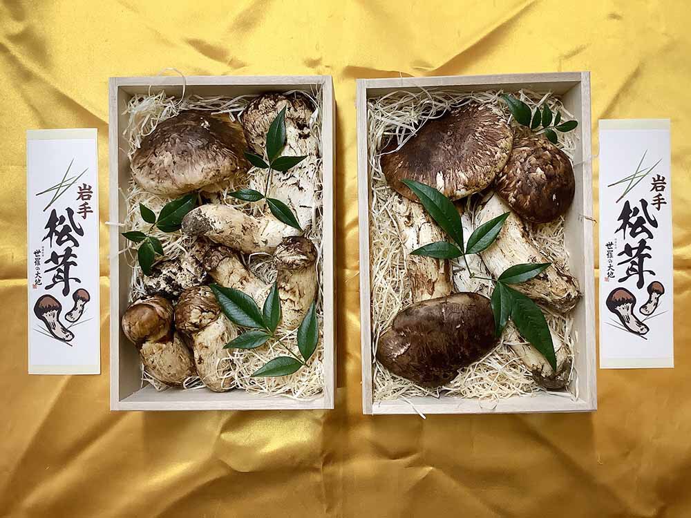 一箱54,000円分のご依頼ひらきとつぼみの写真