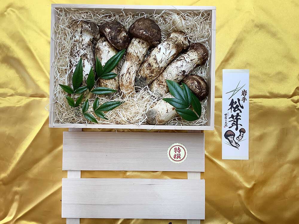 法人さま 特選つぼみ6本のご依頼の写真