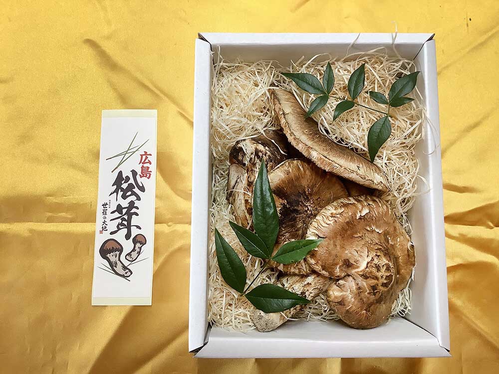 不揃い松茸の写真