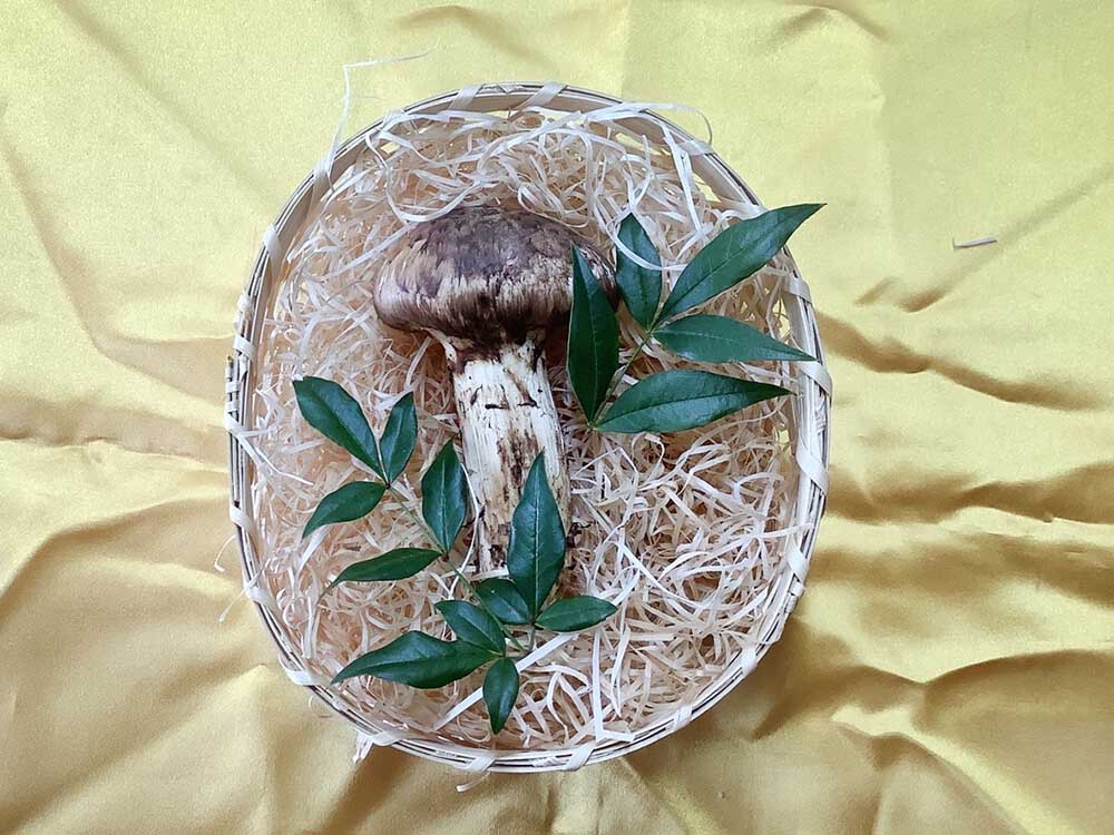 法人さま 景品のご依頼 懇親会の特賞の写真