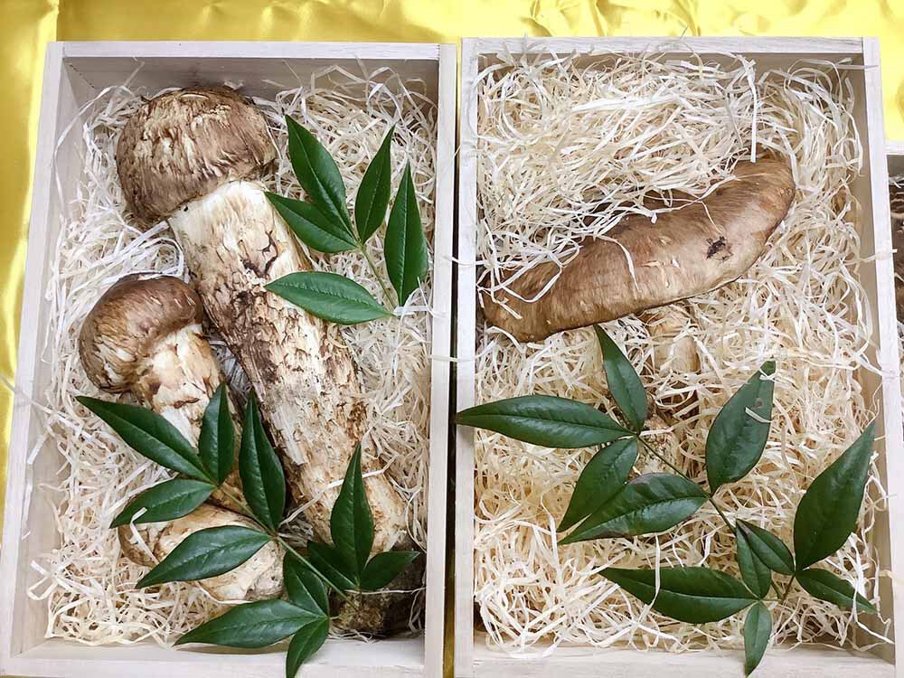 法人さま 店頭でご購入 桐箱詰めの写真