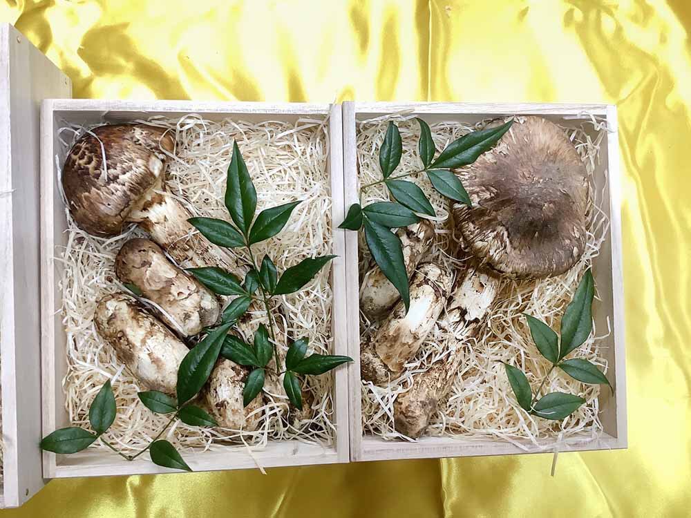 法人さま 店頭でご購入 桐箱詰めの写真