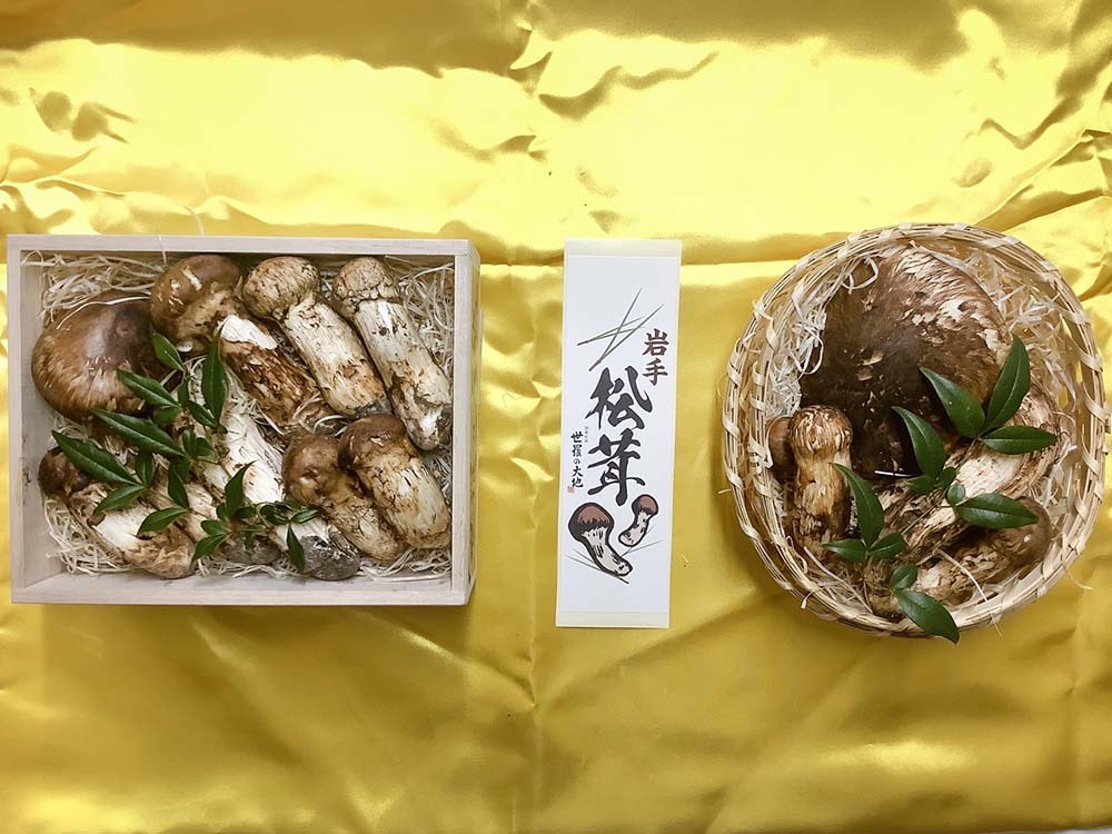 松茸不揃い230gと180gの写真
