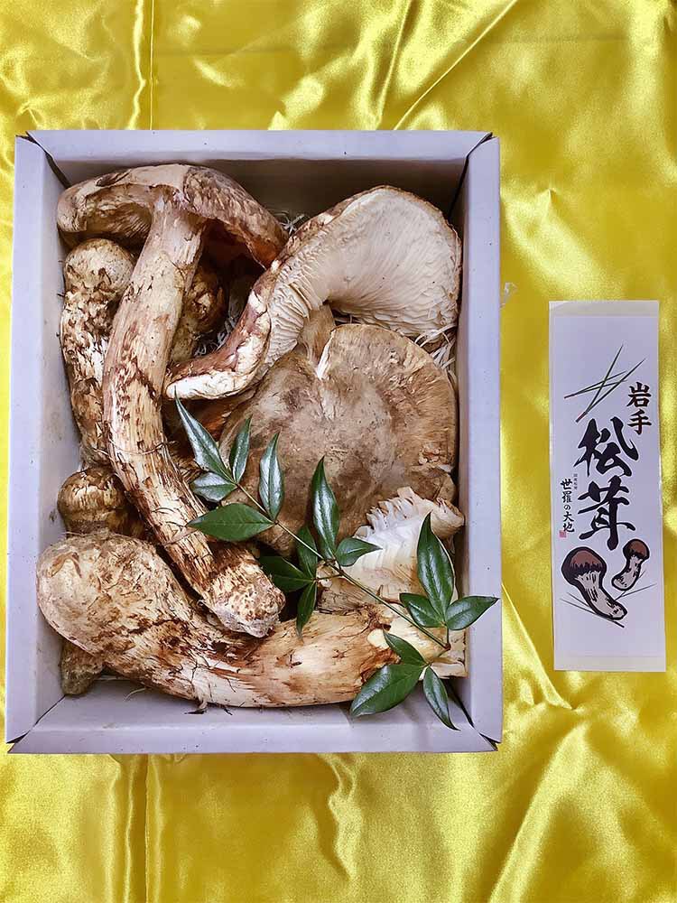世界的ガイドブック掲載の飲食店さまのご依頼の松茸