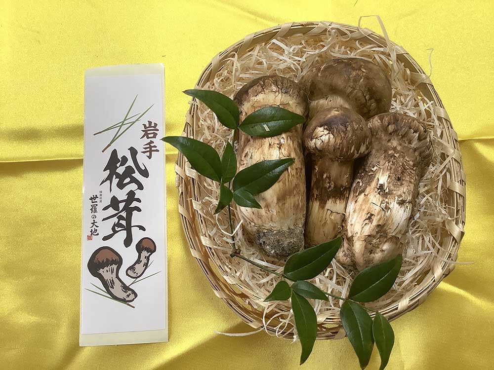 不揃い松茸130gの写真