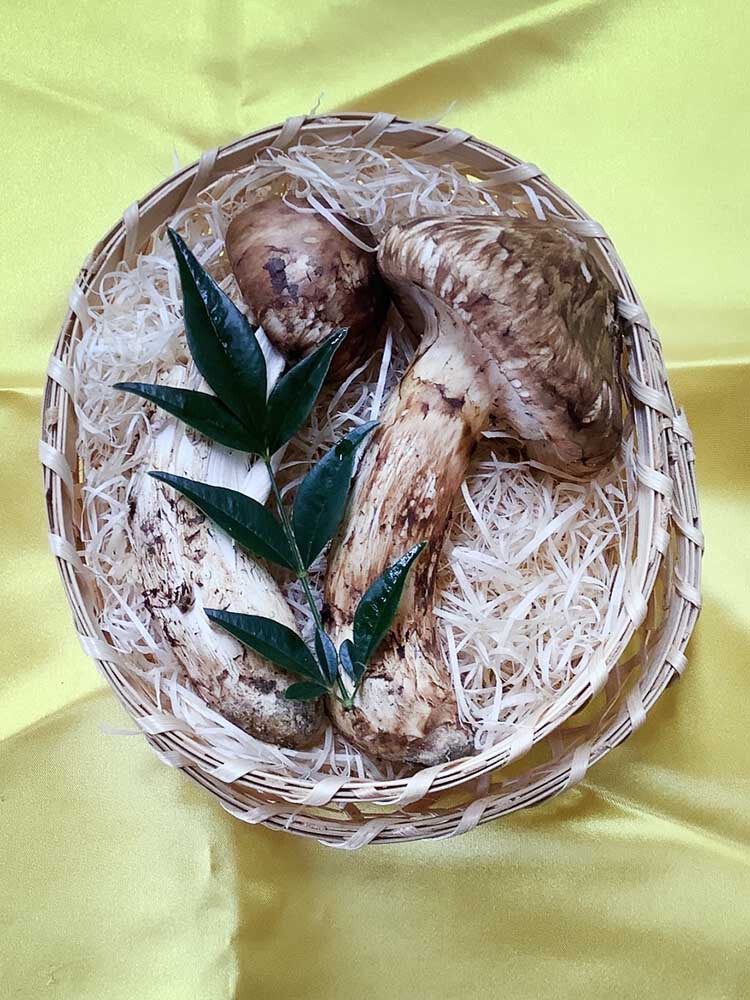 不揃い松茸130gの写真