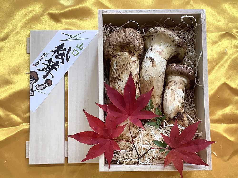松茸のつぼみ290gの写真