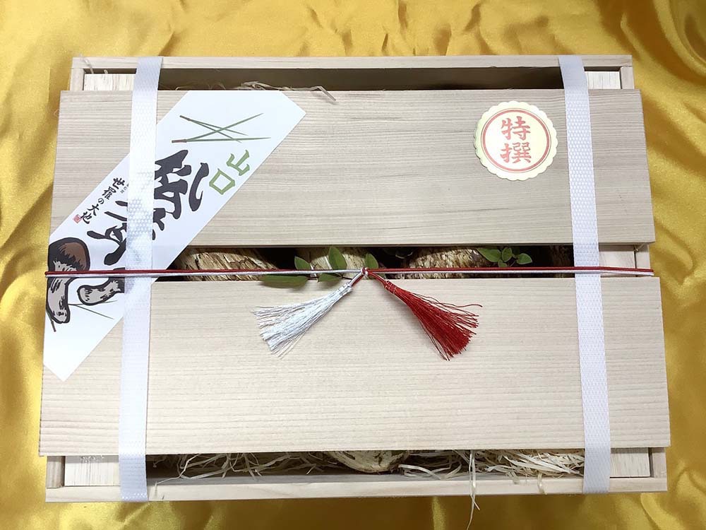 最高級もみの木箱入り松茸の写真