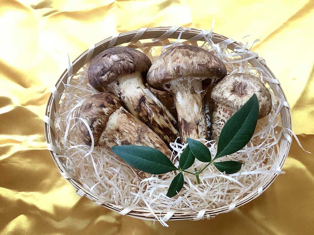 広告代理店さま2万円分の松茸の写真