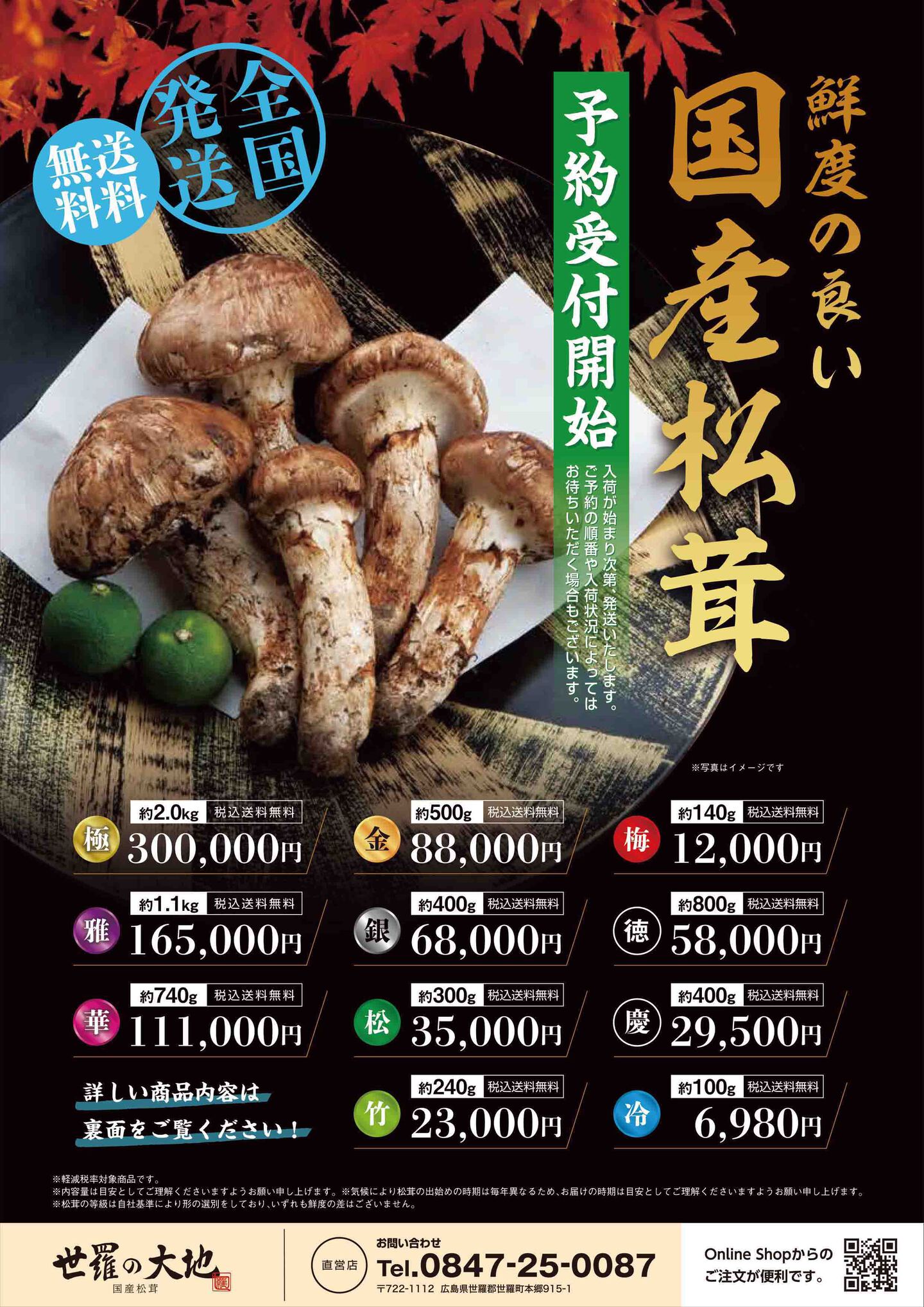 2022年国産松茸のチラシその1