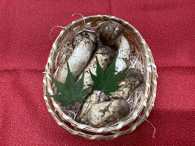 松茸の梅の写真
