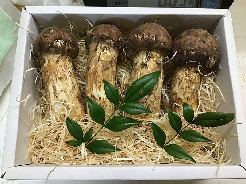 三つ星日本料理店ご依頼の松茸の写真